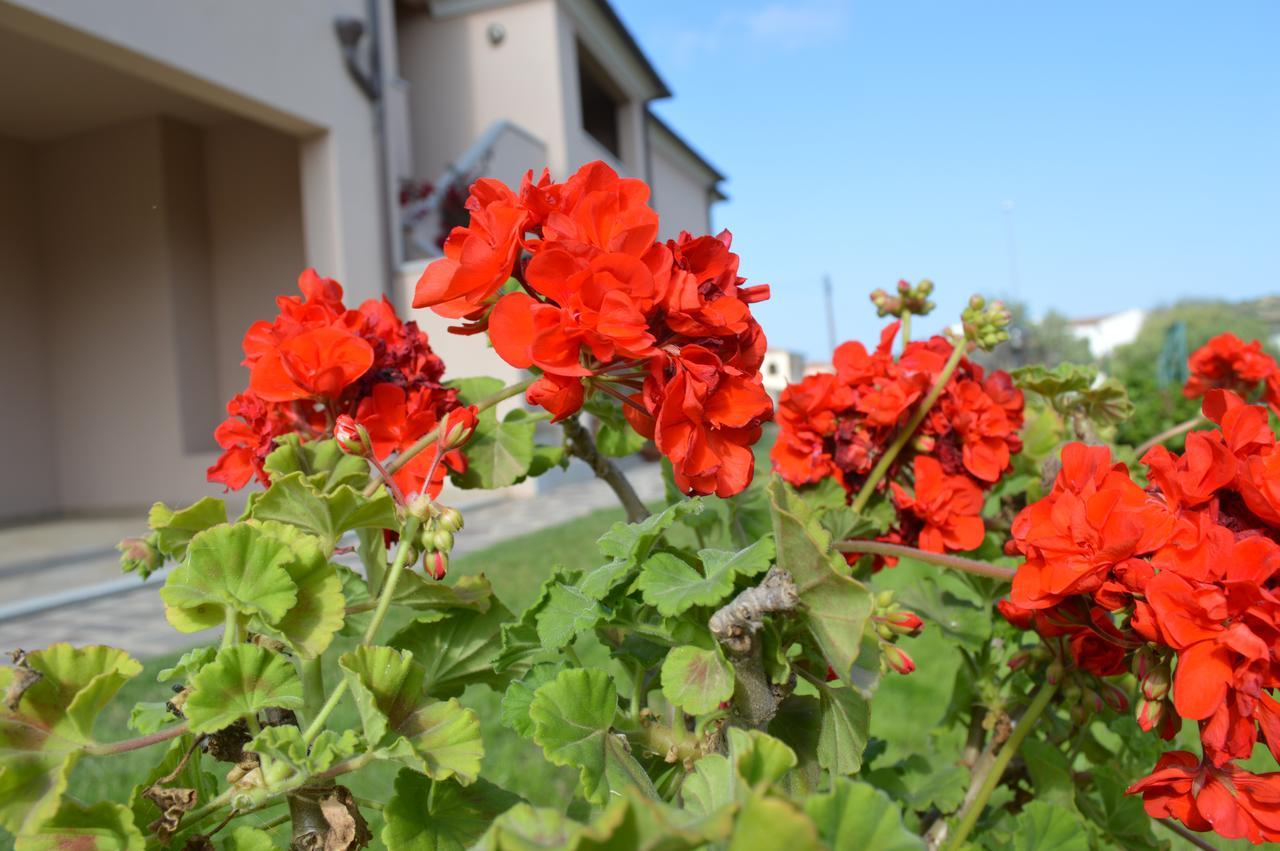 Guest Rooms Affittacamere San Teodoro  Luaran gambar